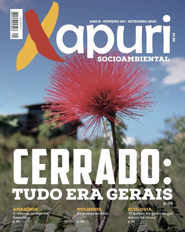 Loja Xapuri